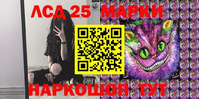 мяу мяу мука Малгобек