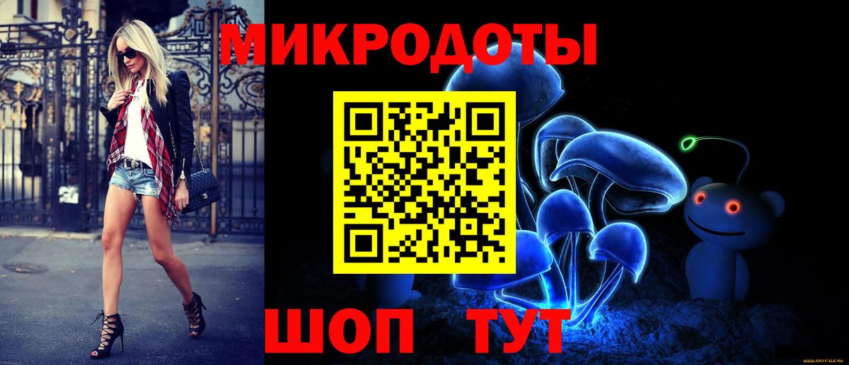 Владимир  Псилоцибиновые грибы Cubensis  Вход с VPN 